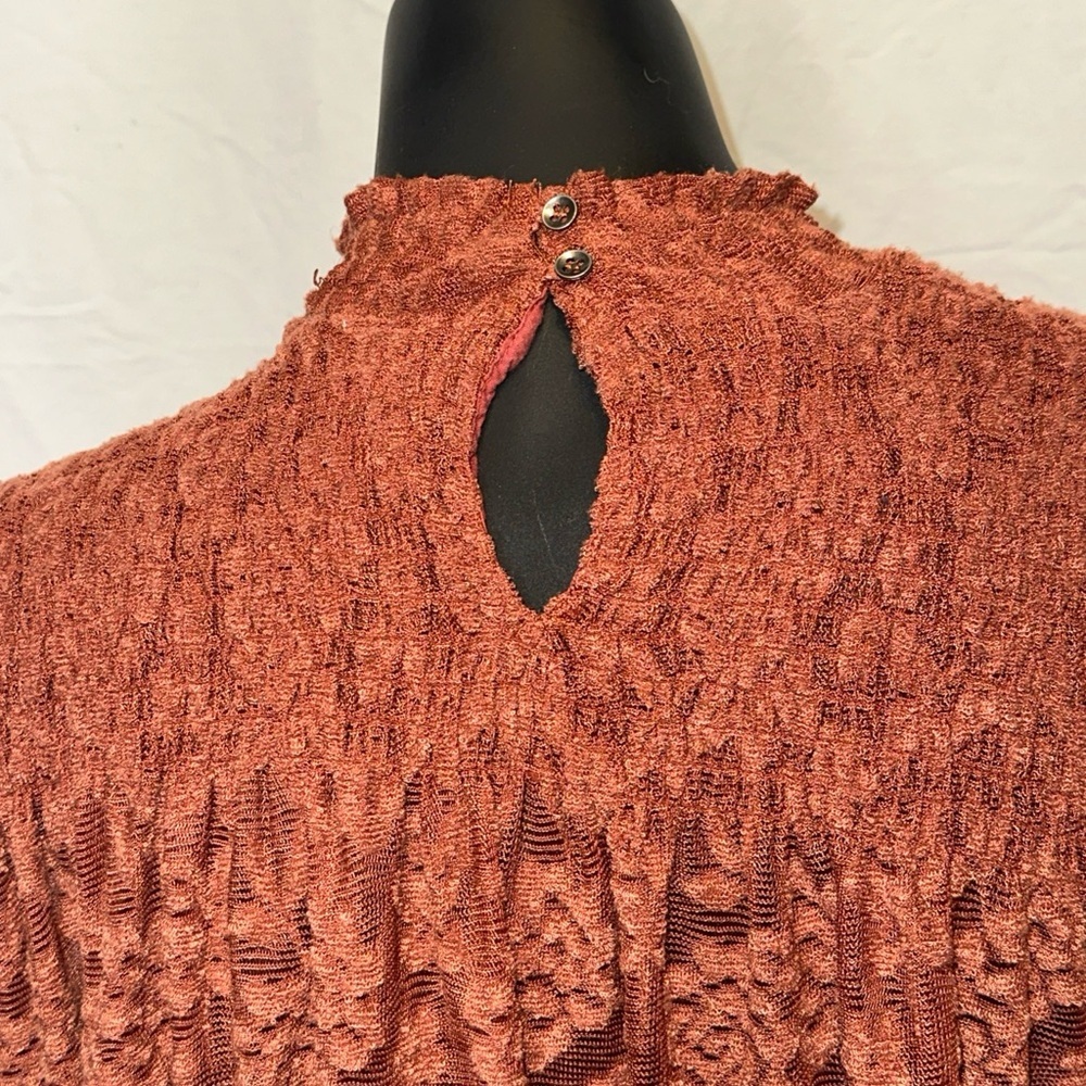 Anthropologie Deletta Amana Burnout Lace Top Size S Smocked Sheer Mockneck N18 - Picture 3 of 6